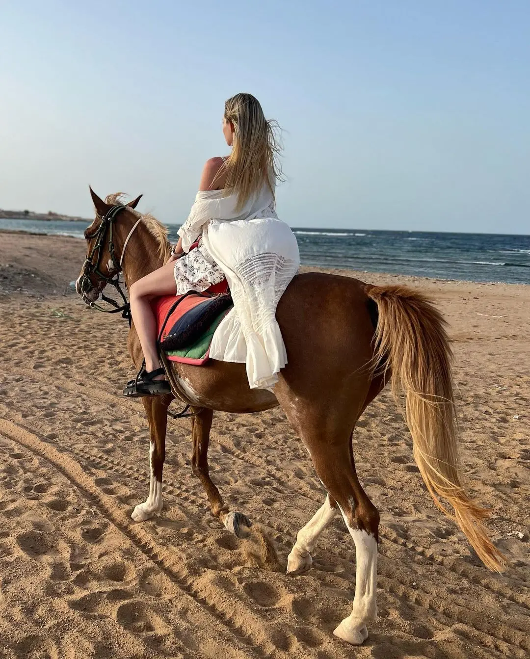 Lilia freemail ukraine